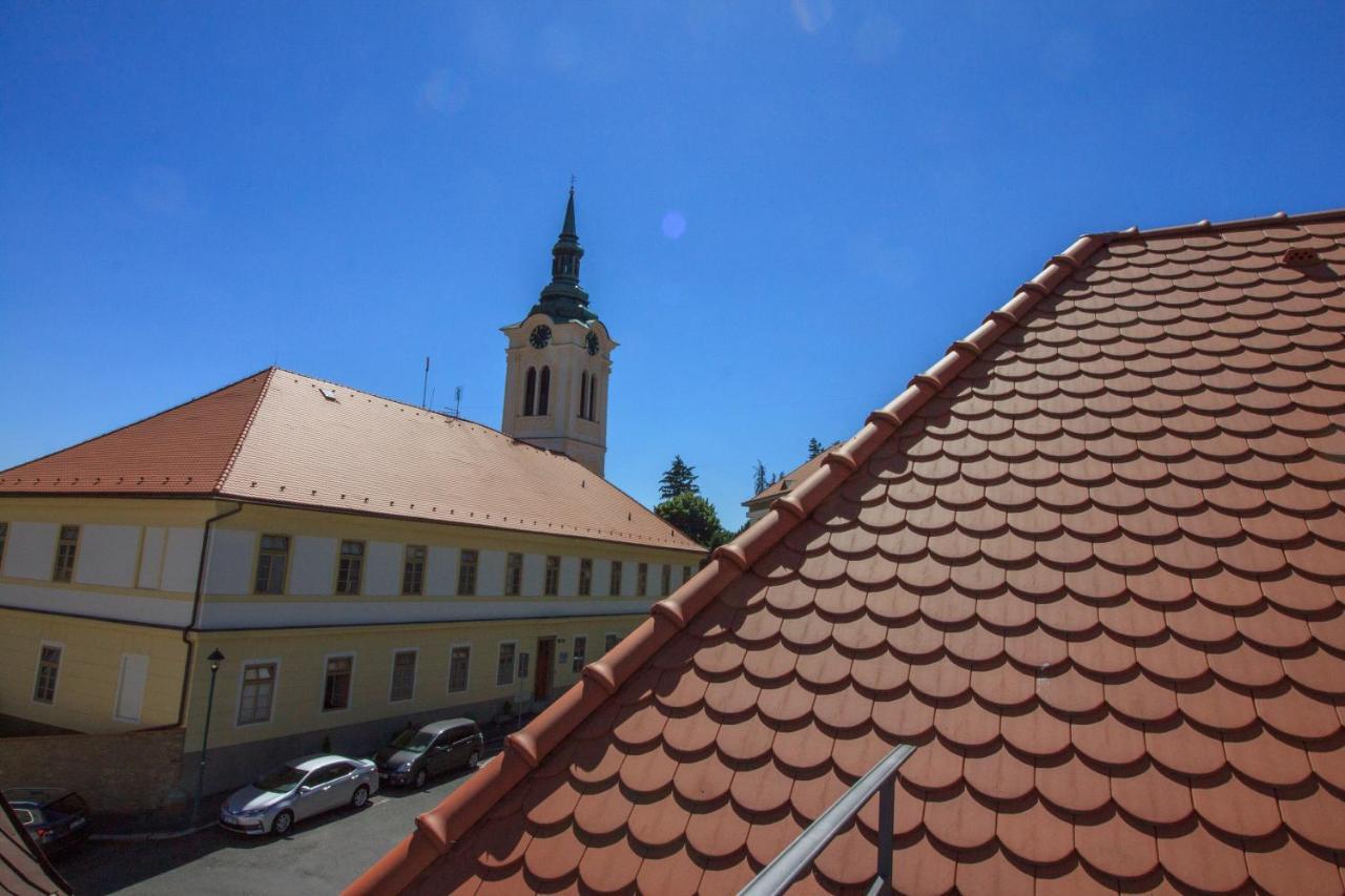 Villa Magdalena Кутна-Гора Экстерьер фото